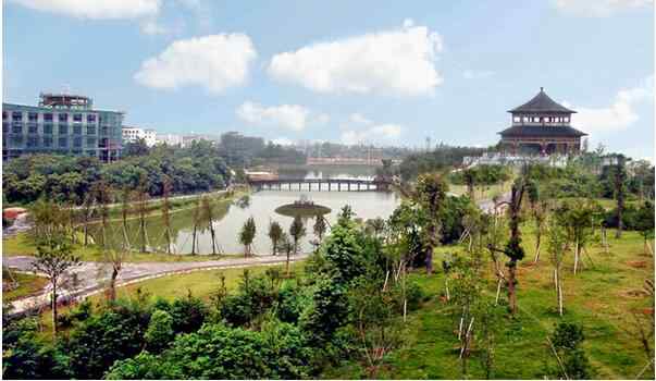 抚州-汝水森林公园.jpg