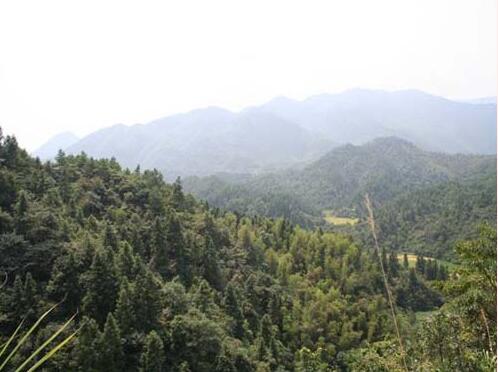 高虎脑战斗遗址.jpg
