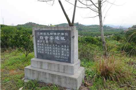 QQ图片66666666666.png